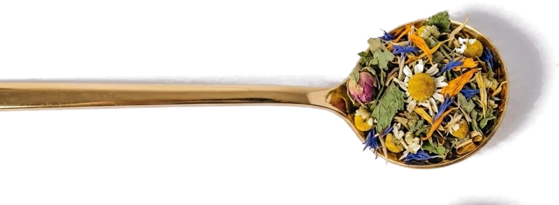 ЛУГОВОЙ ТРАВЯНОЙ СБОР